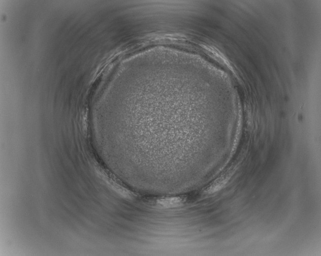 X0000080200357200612221411