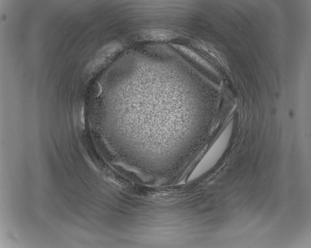 X0000080200358200612221411