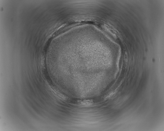 X0000080200359200612221411