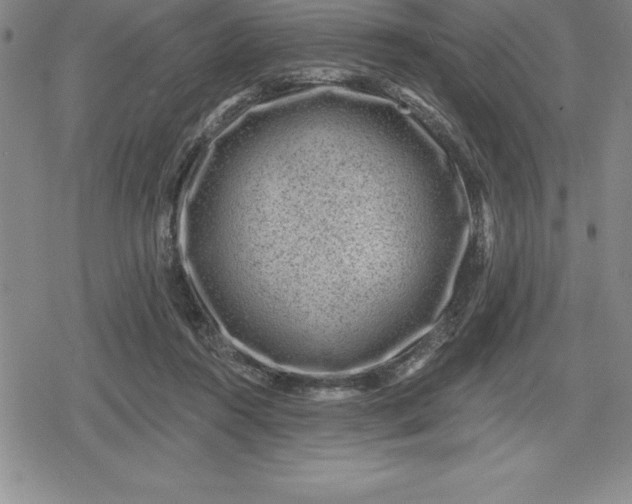 X0000080200360200612221411