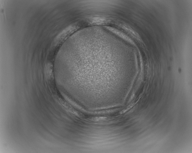 X0000080200361200612221411