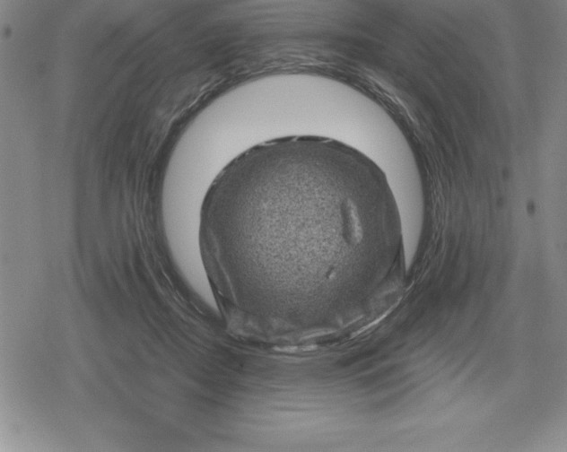 X0000080200362200612221411