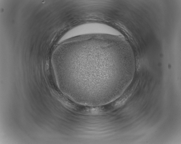 X0000080200365200612221411