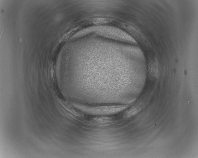 X0000080200367200612221411