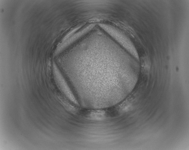 X0000080200369200612221411