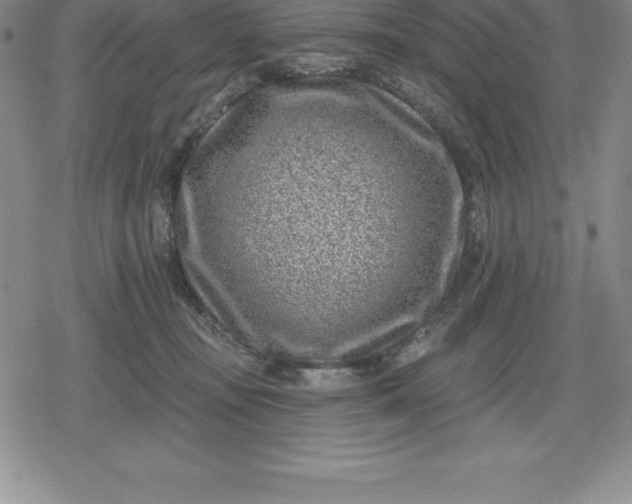 X0000080200371200612221411