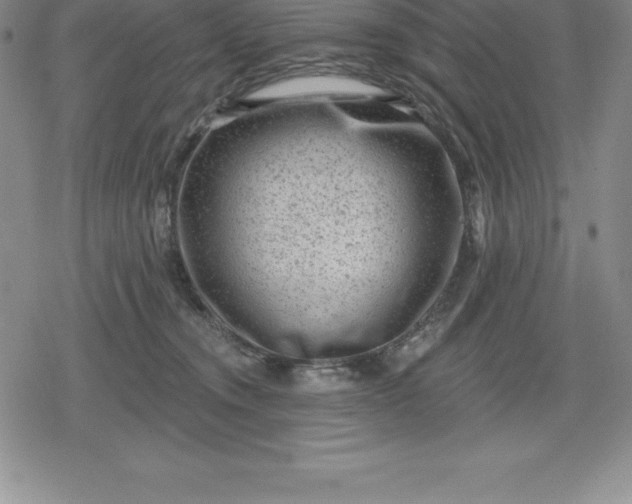 X0000080200372200612221411