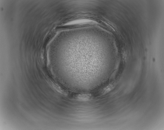 X0000080200373200612221411