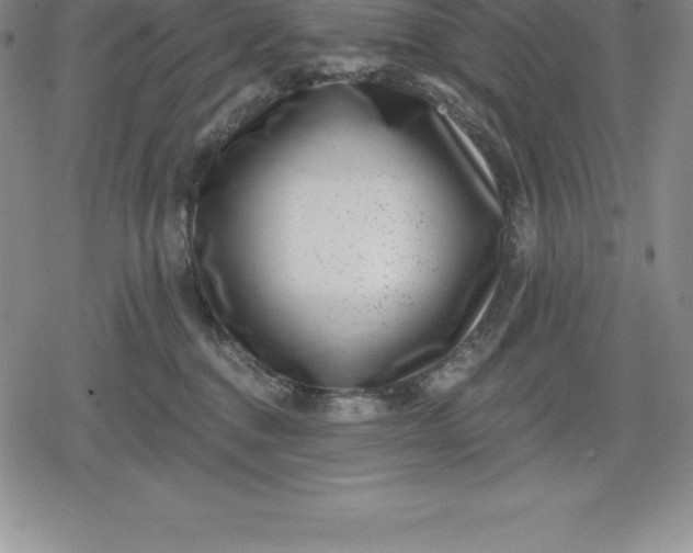 X0000080200376200612221411