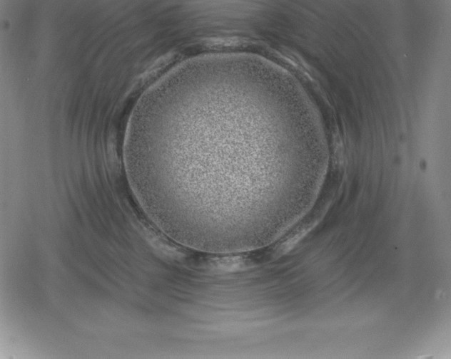 X0000080200377200612221411