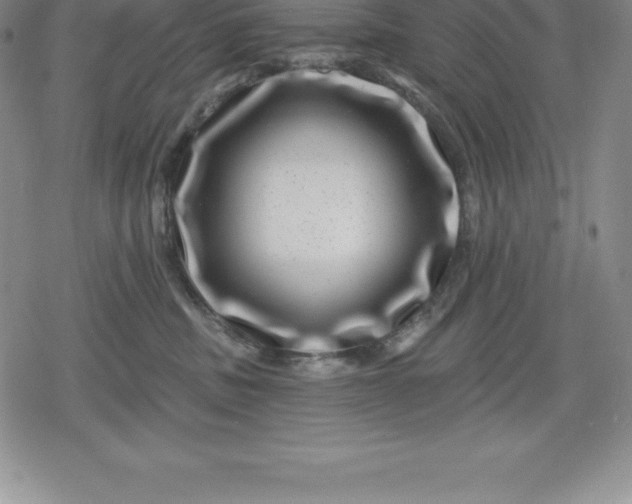 X0000080200379200612221411