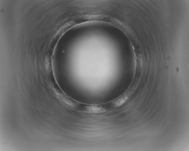 X0000080200380200612221411