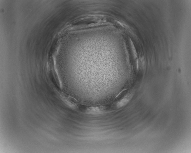 X0000080200381200612221412