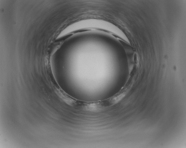 X0000080200382200612221412