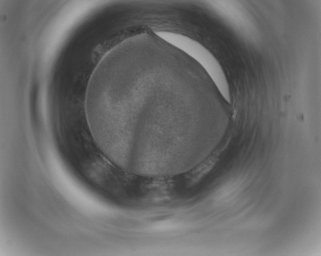 X0000080200383200612221412