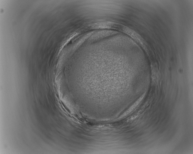 X0000080200386200612221411