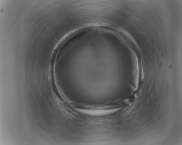 X0000080200387200612221411