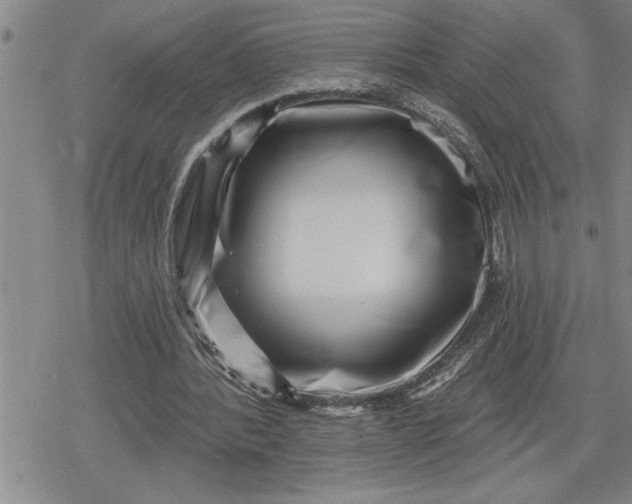 X0000080200388200612221411