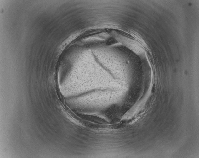 X0000080200389200612221411