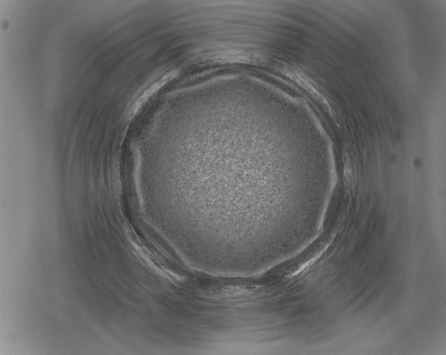 X0000080200390200612221411