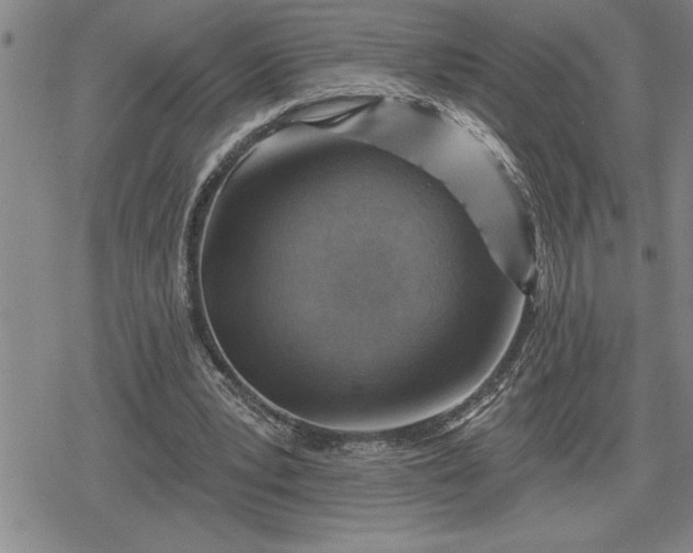 X0000080200391200612221411