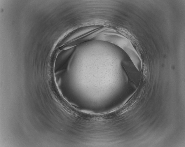 X0000080200392200612221411