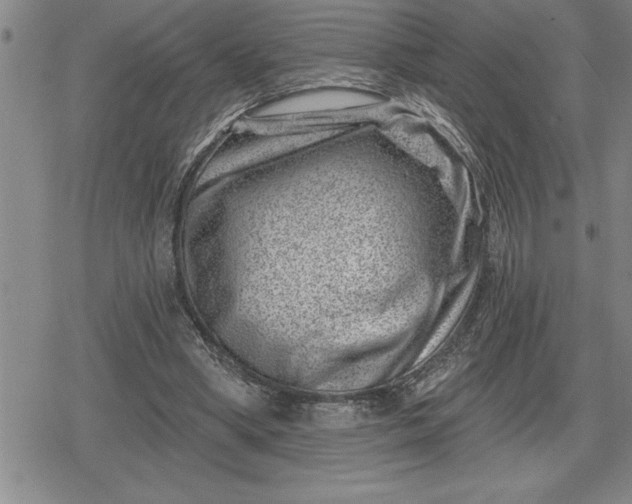 X0000080200394200612221411