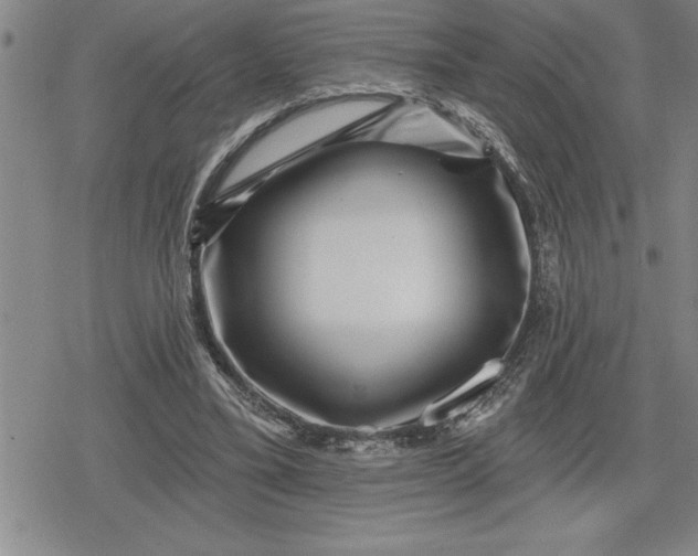 X0000080200395200612221411