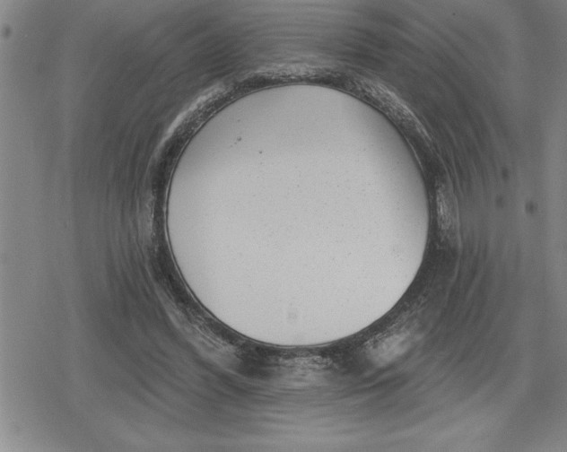 X0000080200396200612221411