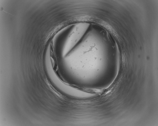 X0000080200397200612221411