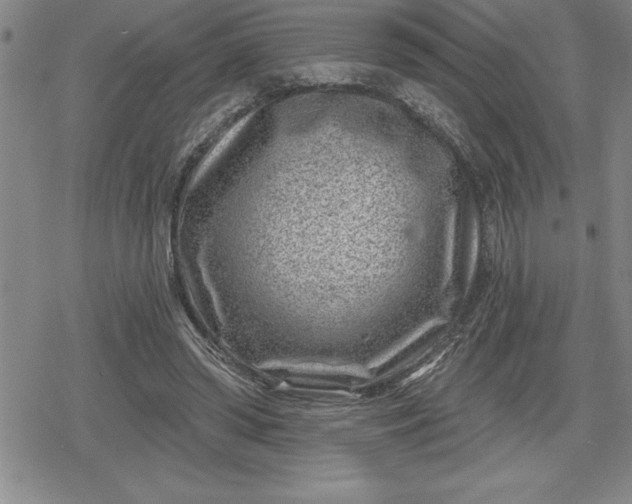 X0000080200398200612221411