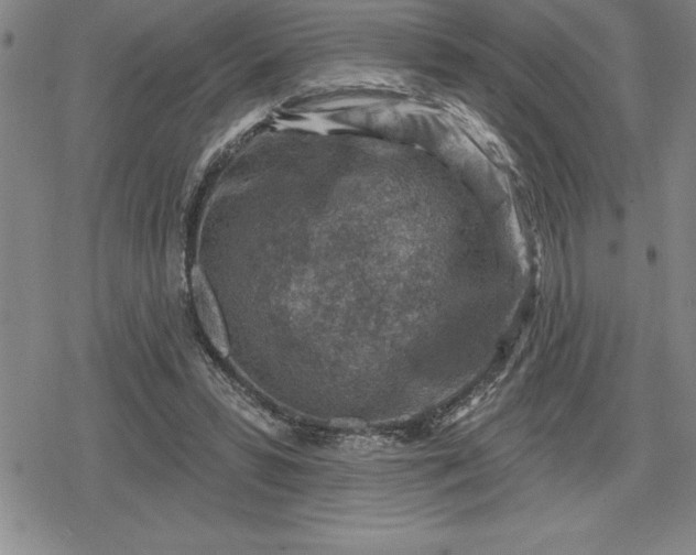 X0000080200399200612221411