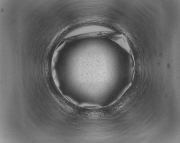 X0000080200400200612221411