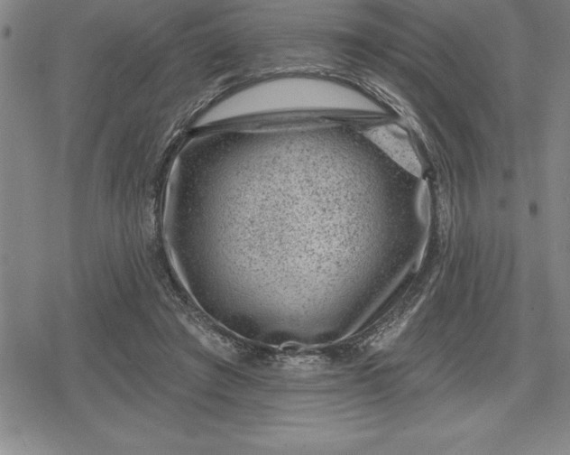 X0000080200401200612221411