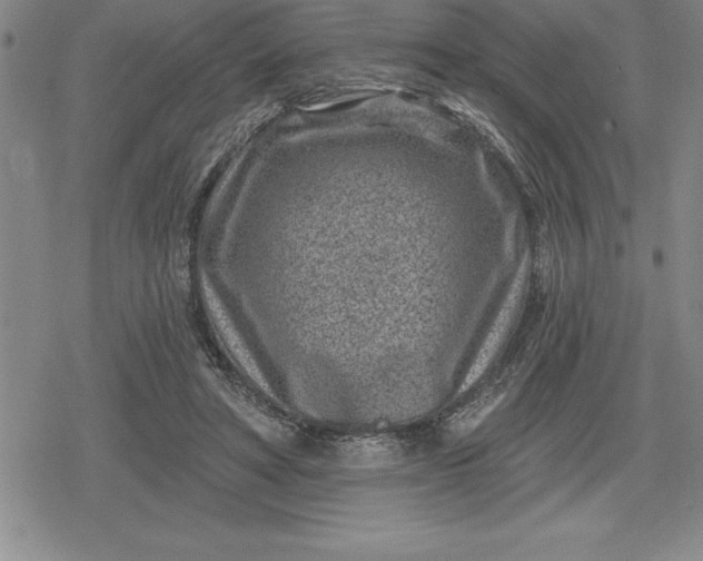 X0000080200402200612221410