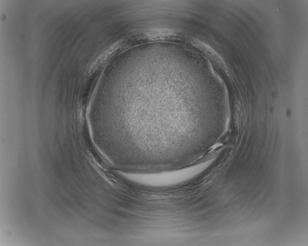 X0000080200405200612221410