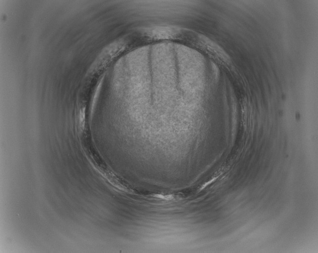 X0000080200406200612221410