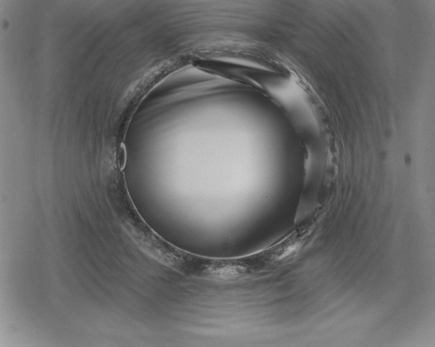 X0000080200407200612221410