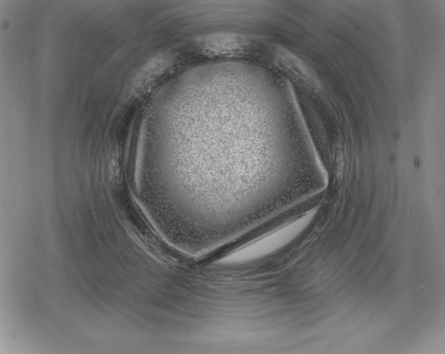 X0000080200408200612221410