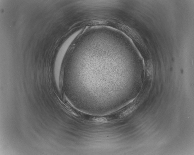 X0000080200409200612221410