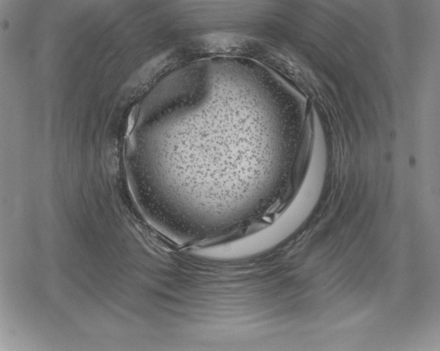 X0000080200413200612221410