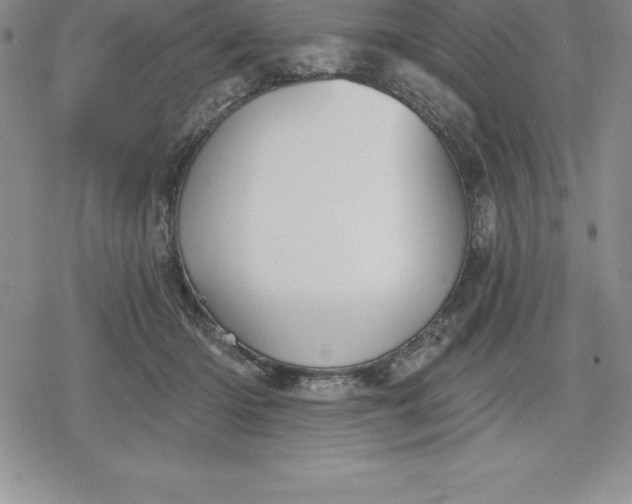 X0000080200414200612221410