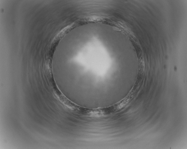 X0000080200415200612221410