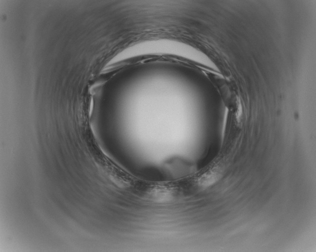 X0000080200416200612221410