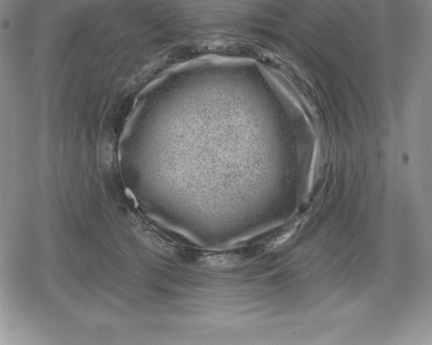 X0000080200417200612221410