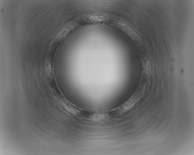 X0000080200418200612221410