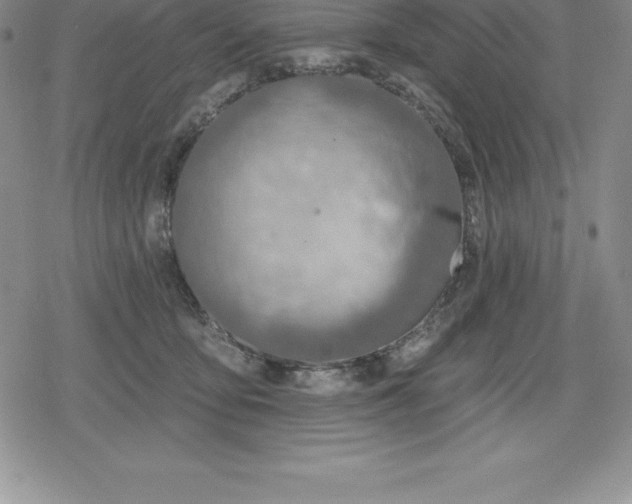 X0000080200419200612221410