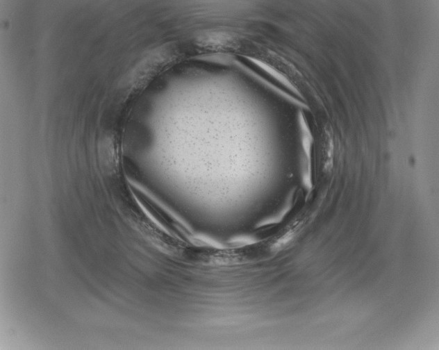 X0000080200420200612221410