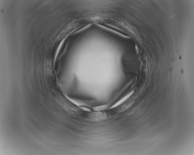 X0000080200421200612221410