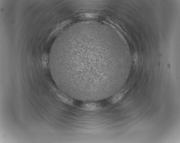 X0000080200423200612221410